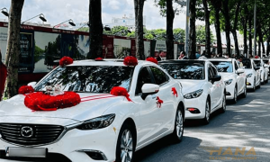 HỢp ĐỒng LiÊn Hoan, CƯỚi HỎi